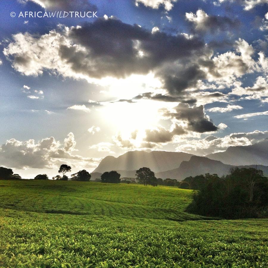 Africawildtruck Eco Camp & Lodge Mulanje Exterior photo